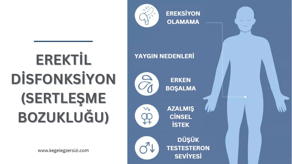 erektil disfonksiyon